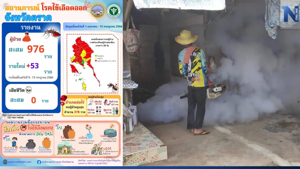 "ตราด" คว้าแชมป์ป่วยไข้เลือดออก พบแล้วเกือบพันราย เร่งป้องกัน-กำจัดยุงลาย