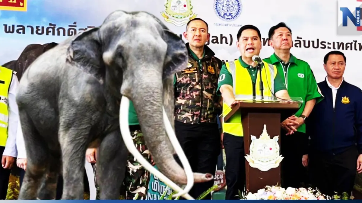เตรียมส่ง "ทีมแพทย์-กัญจนา" ทำMOUเทคนิคสัตวแพทย์รักษาช้าง