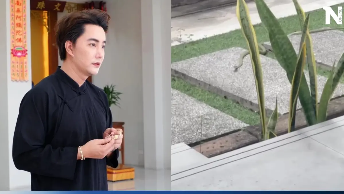 เลขเด็ดริวจิตสัมผัส หลังงูเข้าบ้านครั้งแรก ลุ้นโชคปังๆ ลุ้น หวยงวด1/07/66