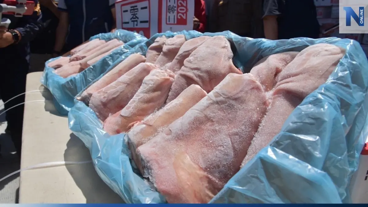 ดีเอสไอเร่งขยายผล “4- 5 บิ๊กแบ็คอัพ” ขบวนการหมูเถื่อน 161 ตู้