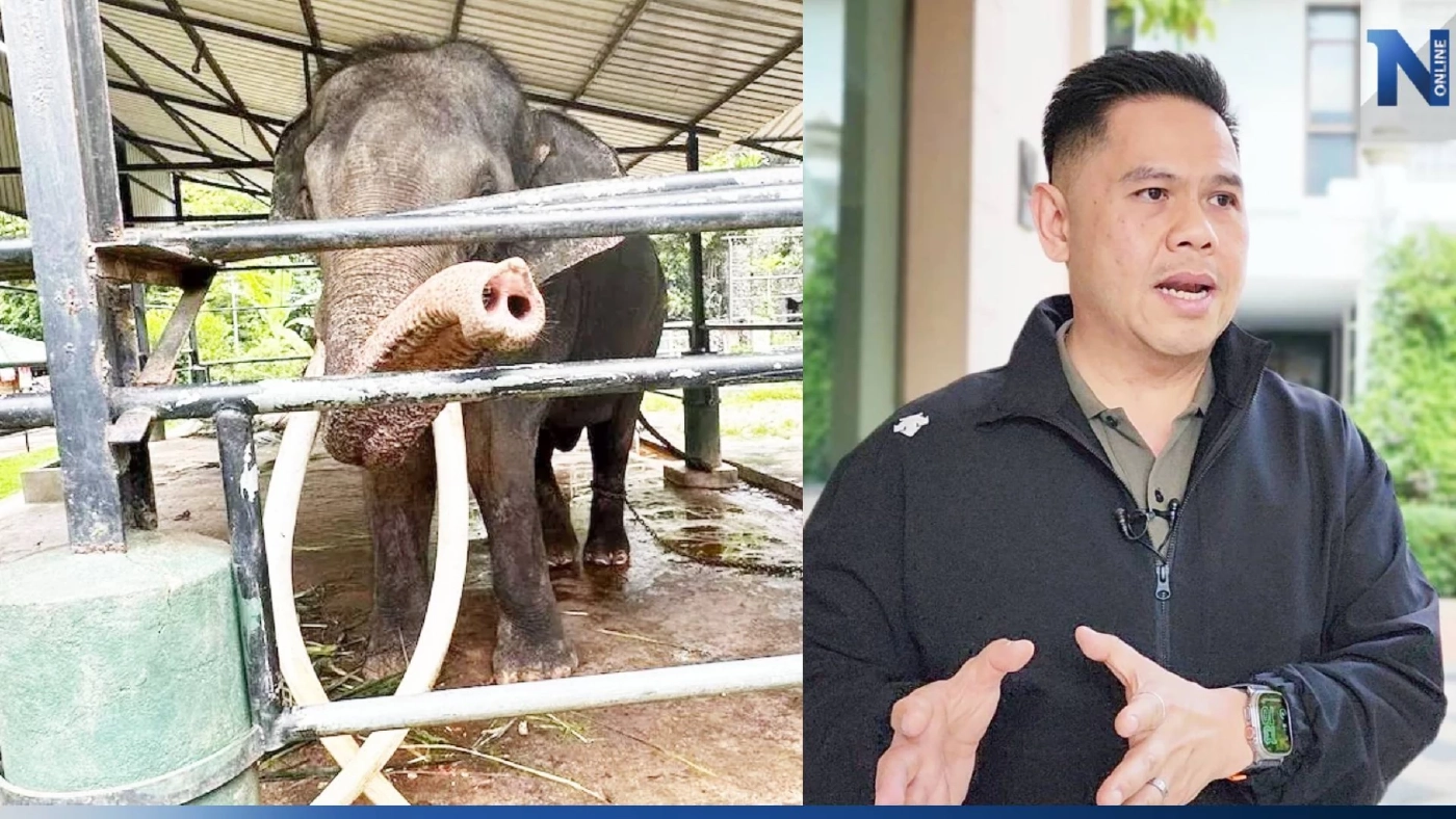 "วราวุธ" บินเชียงใหม่พรุ่งนี้ รับ "พลายศักดิ์สุรินทร์" ส่งต่อรักษาอาการป่วย "วราวุธ" บินเชียงใหม่พรุ่งนี้ รับ "พลายศักดิ์สุรินทร์" ส่งต่อรักษาอาการป่วย