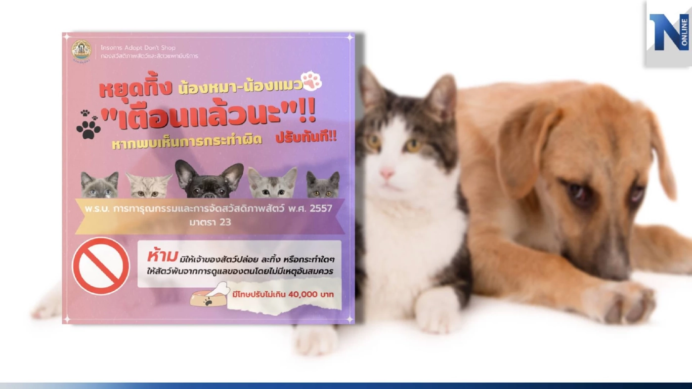 ห้ามทิ้ง! ปศุสัตว์ เอาจริงทิ้งหมา-แมว ผิดกฎหมาย มีโทษปรับ 4 หมื่นบาท