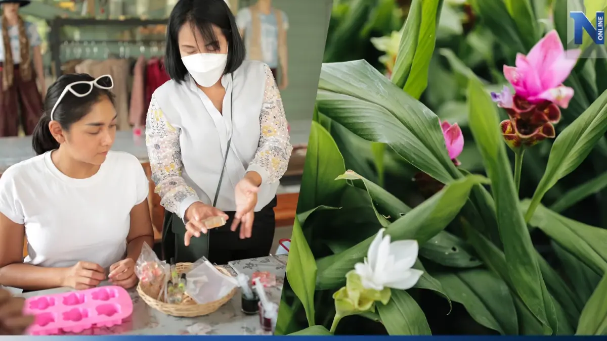เช็คอินฟินๆ กิน ดื่ม เที่ยว กับเทศกาลปทุมมากระเจียว ที่ เพ ลา เพลิน จ.บุรีรัมย์
