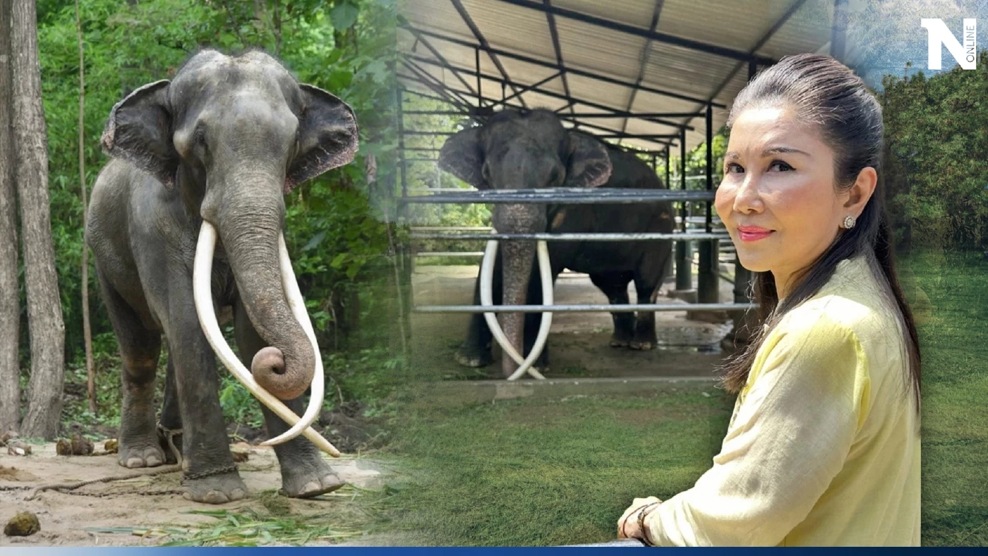 "กัญจนา" แจงแล้ว พลายศักดิ์สุรินทร์ ถ้าหายดี ต้องส่งกลับศรีลังกาอีกหรือไม่