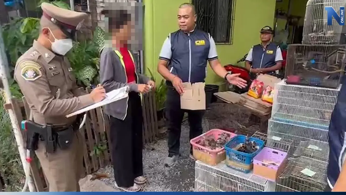 ปทส.รวบ “ก็มา ดิคะ” โพสต์ค้านกป่าคุ้มครอง 11 ชนิดมูลค่ากว่าแสนบาท ปทส.รวบ “ก็มา ดิคะ” โพสต์ค้านกป่าคุ้มครอง 11 ชนิดมูลค่ากว่าแสนบาท