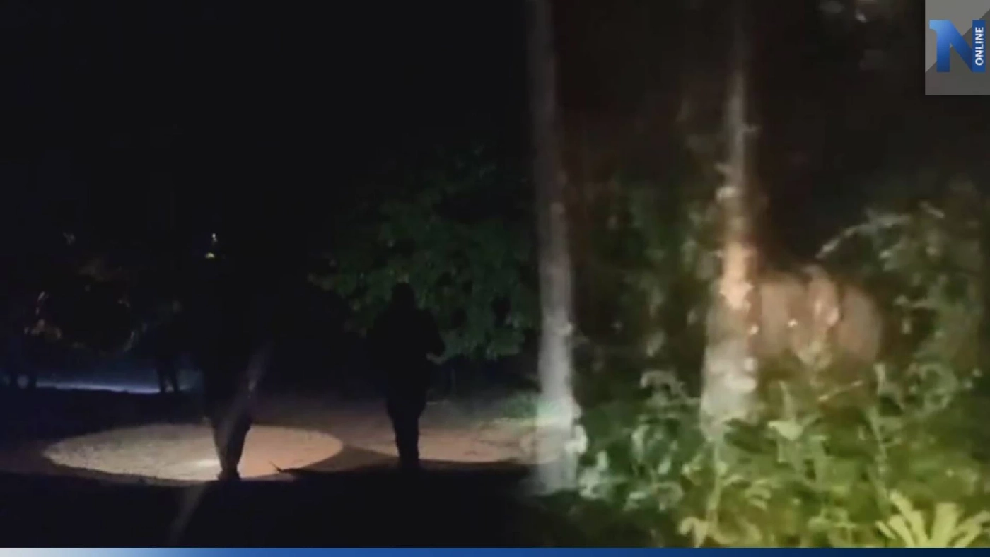 เร่งผลักดัน "ช้างป่า" ออกจากอุทยานฯ น้ำตกคลองแก้ว