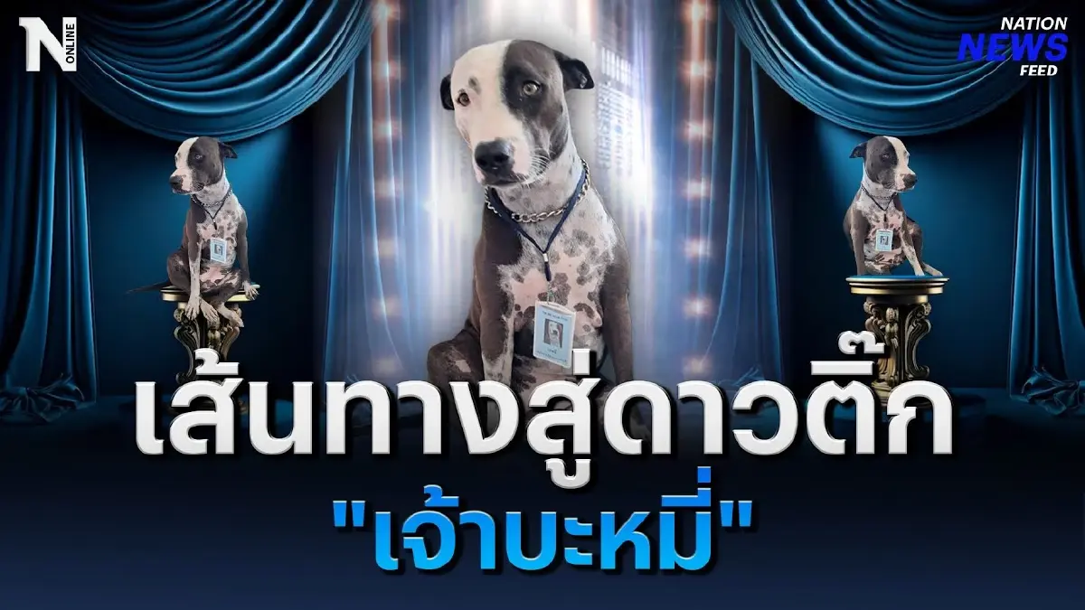 เส้นทางสู่ดาวติ๊กต็อก ของ "เจ้าบะหมี่"
