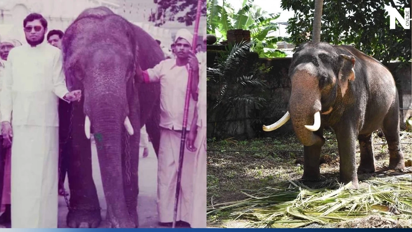 ศรีลังกา ลั่น หากไทยเอาช้างอีก 2 เชือกกลับ จะฟ้องร้องเรียกค่าชดเชย