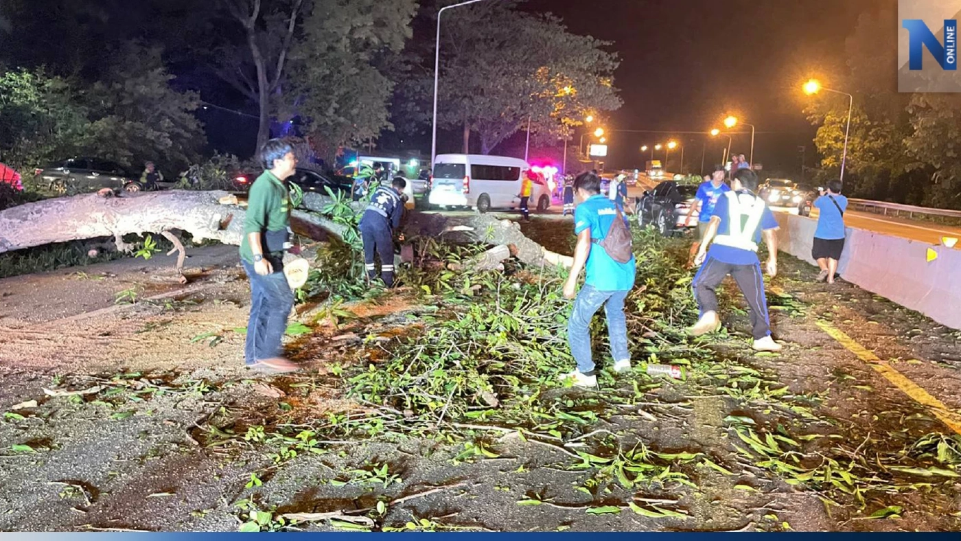 ต้นไม้ล้มขวางถนน รถชาวบ้านพุ่งชน ดับ 1 สาหัส 2 รองผู้ว่าฯ อุตรดิตถ์ รอดหวุดหวิด