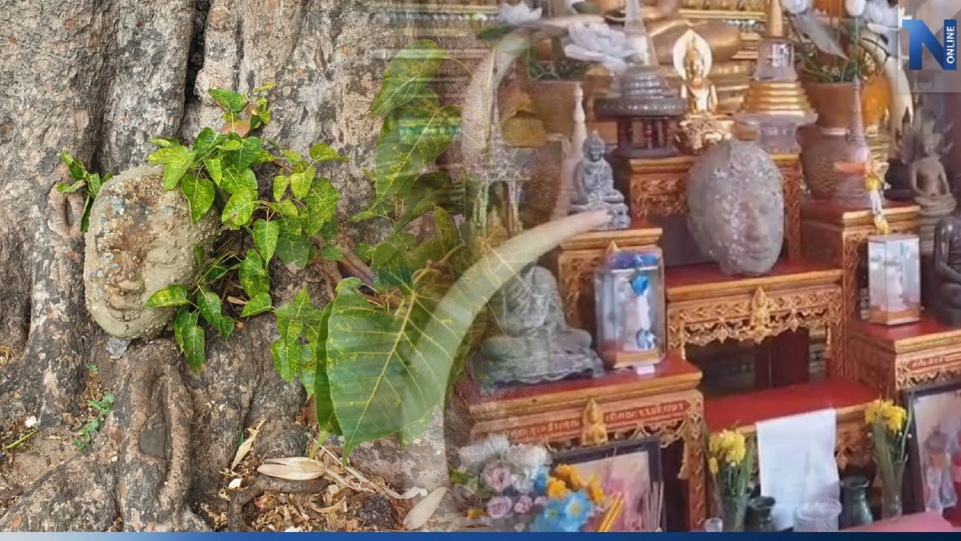 ชาวบ้านยกเศียรพระเก่า ใต้ต้นโพธิ์ ไปไว้ในวิหารหลวงพ่อเปี่ยม วัดเกาะหลัก