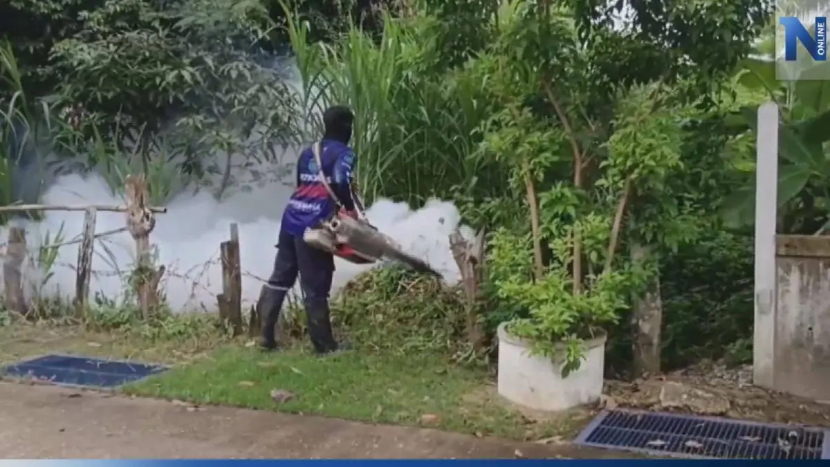 ฝนตกถี่ สสจ.นครพนม เตือนระวังยุงลาย เผยป่วย "ไข้เลือดออก" กว่า 1.3 พันราย ฝนตกถี่ สสจ.นครพนม เตือนระวังยุงลาย เผยป่วย "ไข้เลือดออก" กว่า 1.3 พันราย