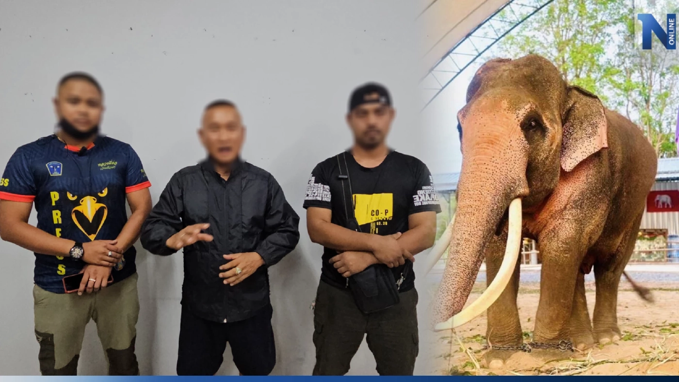 ชายชุดดำโต้กลับ ไม่ได้คุกคาม "พลายเอกชัย" ยันเป็นแค่นักท่องเที่ยว