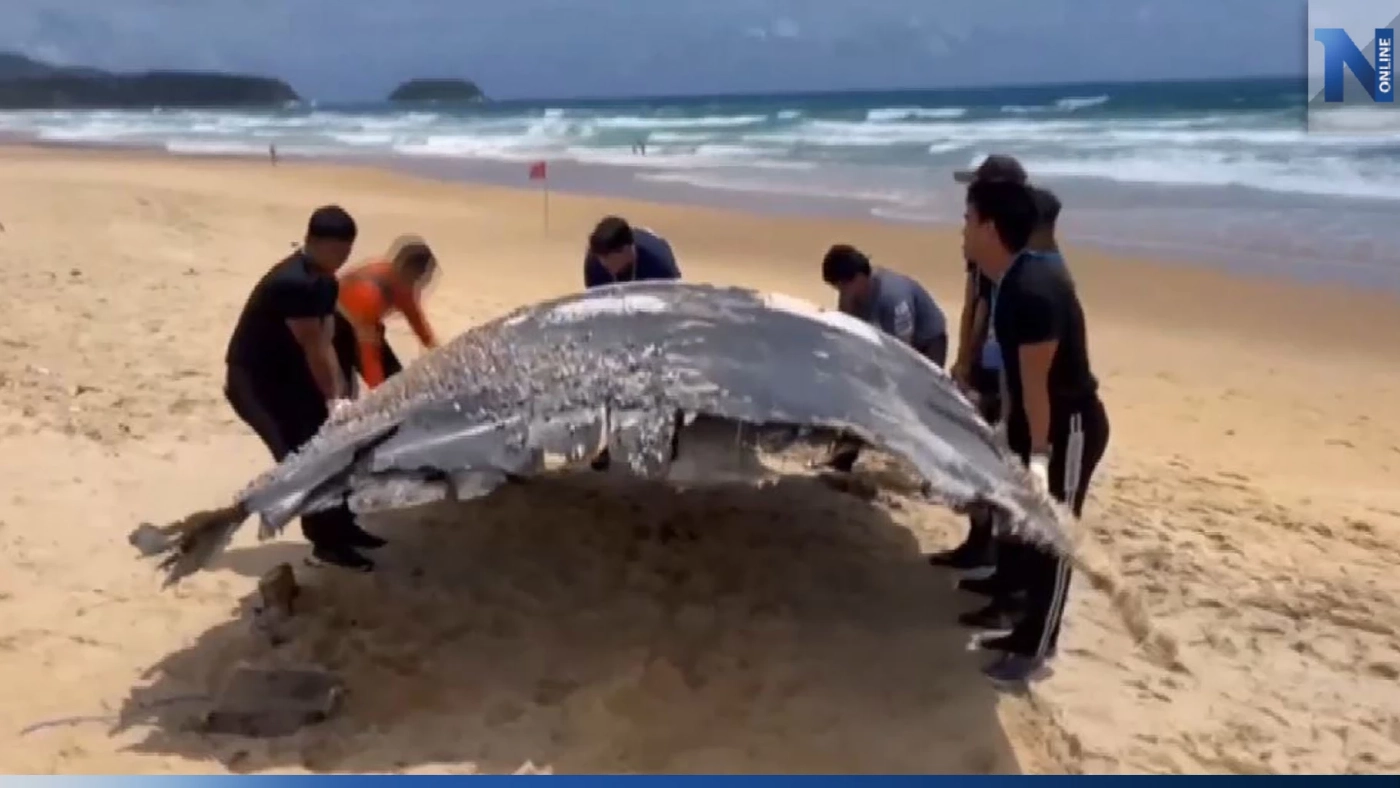พบชิ้นส่วนปริศนา หนัก 200 กก. ถูกคลื่นซัดเกยหาดกะรน คาดเป็นซากเรือ-เครื่องบิน