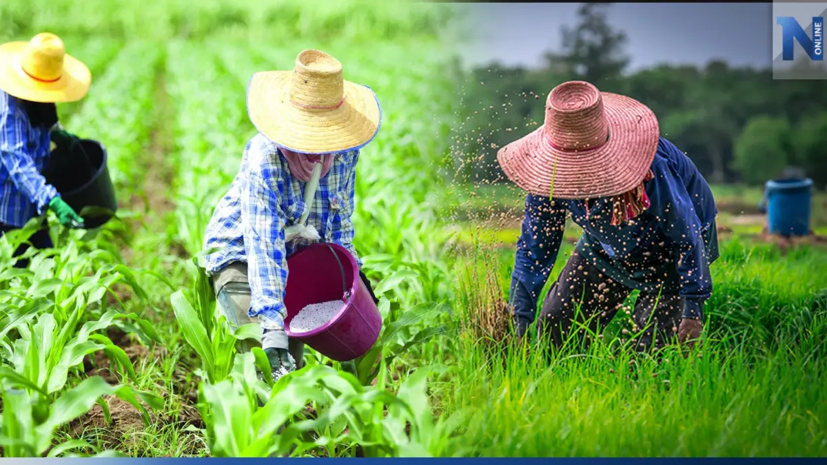 ธ.ก.ส.ขานรับนโยบายรัฐบาลใหม่ 'พักหนี้เกษตรกร' ธ.ก.ส.ขานรับนโยบายรัฐบาลใหม่ 'พักหนี้เกษตรกร'