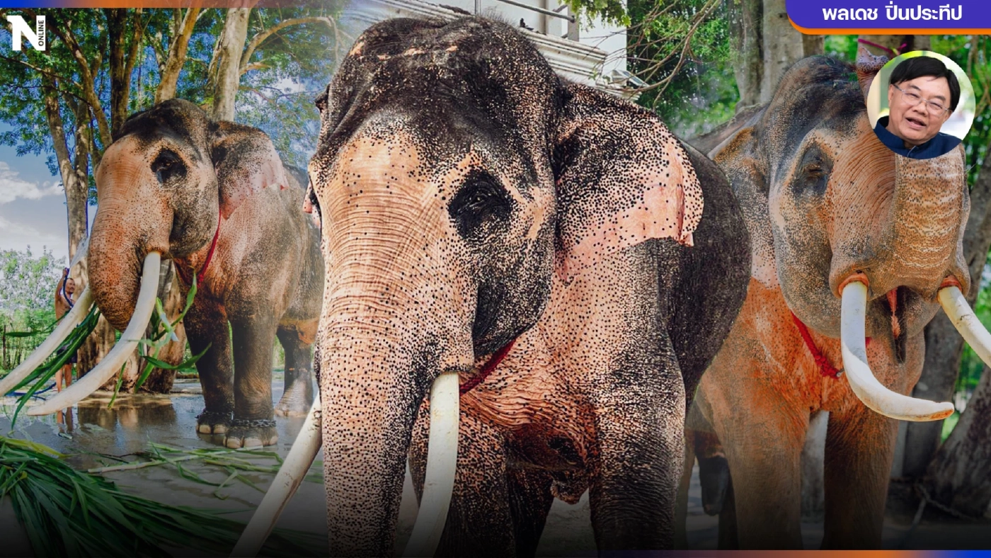 "พ่อพลายเอกชัย" บนเส้นทางวิบาก  โดย นพ.พลเดช  ปิ่นประทีป