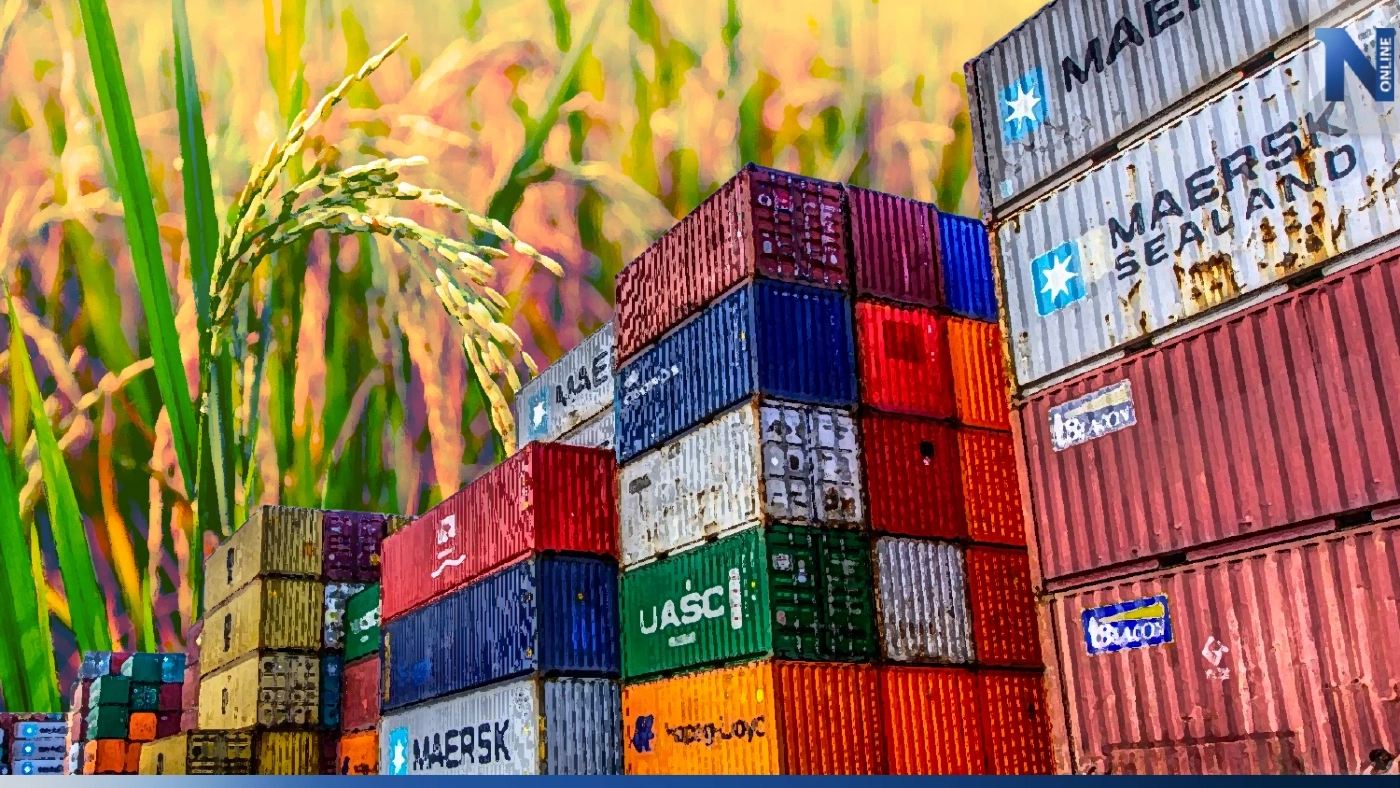 ข้าวไทยราคาพุ่ง !  รับอานิสงส์อินเดียเบรกส่งออก