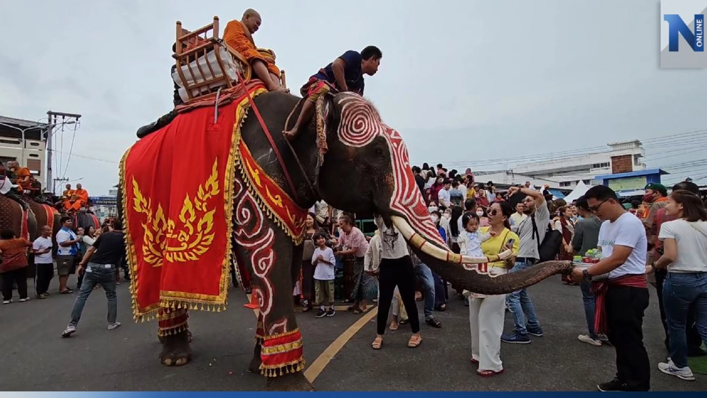 จังหวัดสุรินทร์จัดใหญ่ "ตักบาตรบนหลังช้าง" 37 เชือก เนื่องในวันอาสาฬหบูชา