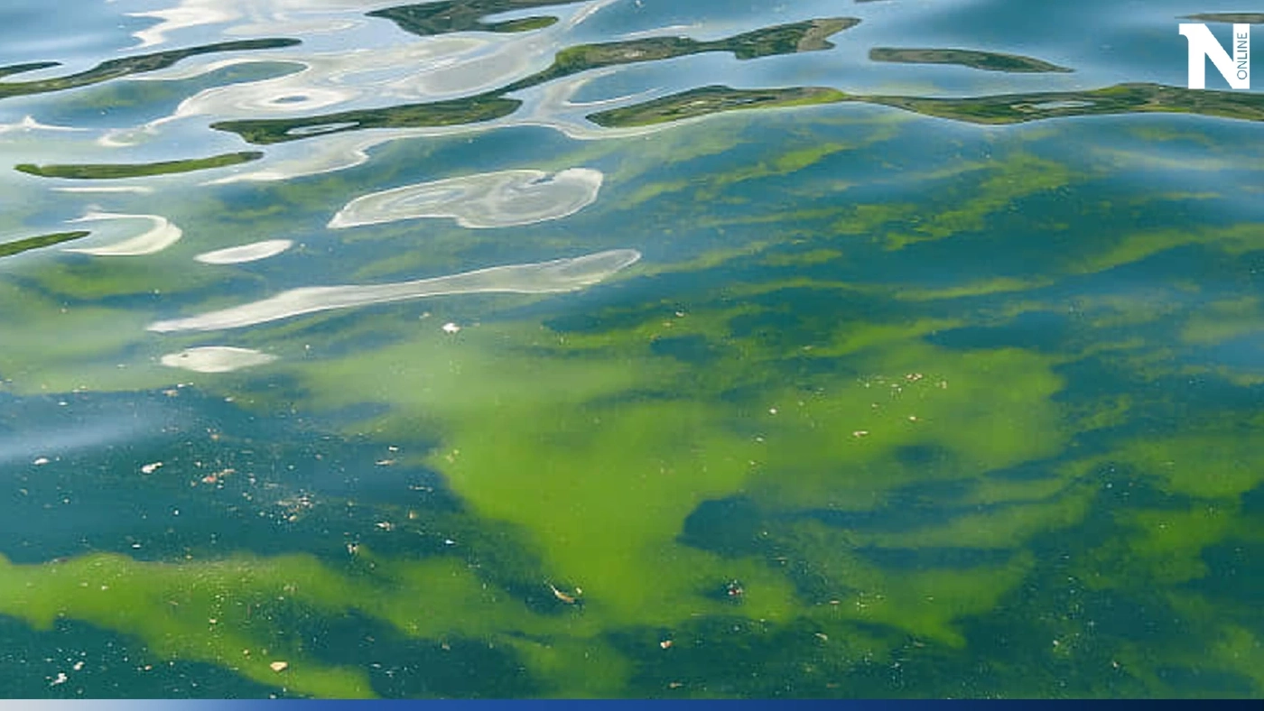 เฝ้าระวัง น้ำทะเลมหาสมุทรอินเดียกำลังเปลี่ยนสีจากสีน้ำเงินเป็นสีเขียว เฝ้าระวัง น้ำทะเลมหาสมุทรอินเดียกำลังเปลี่ยนสีจากสีน้ำเงินเป็นสีเขียว