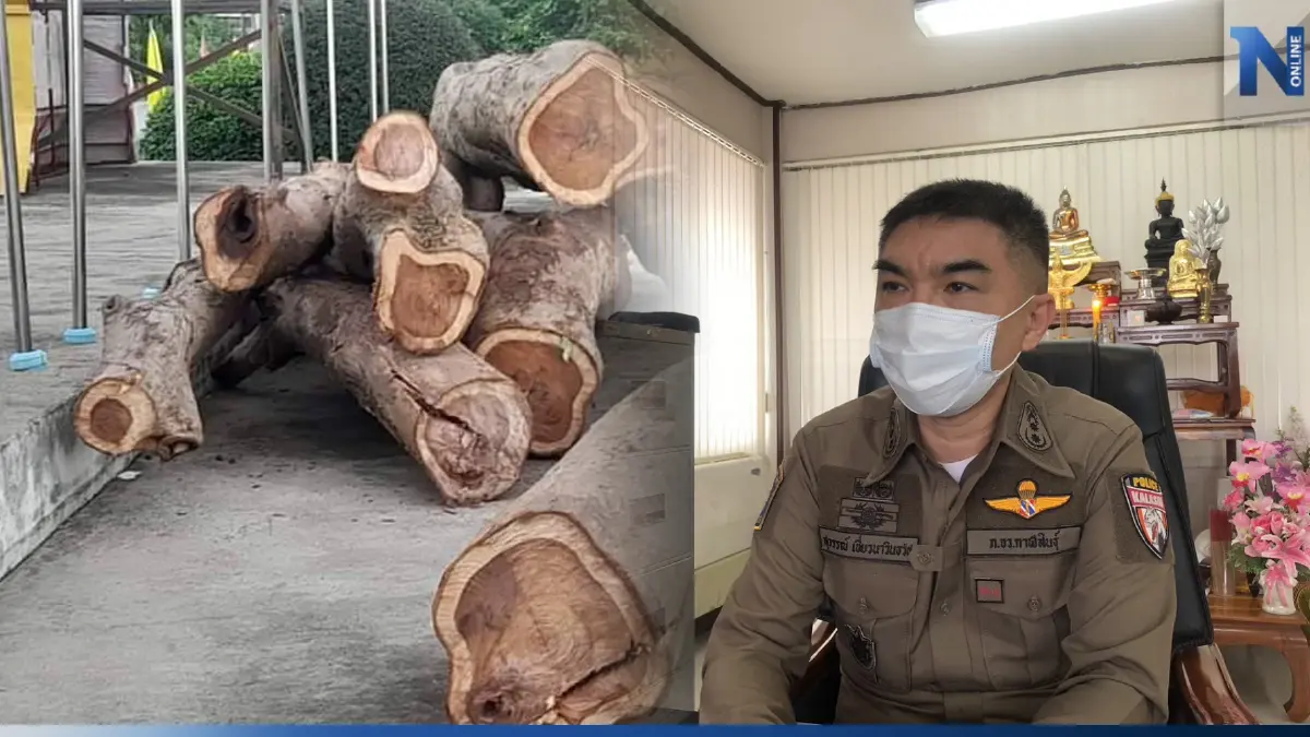 แจ้งข้อหา 8 ข้าราชการ เอี่ยวไม้พะยูงหาย ส่งสำนวนให้ ป.ป.ช. สั่งเชือด
