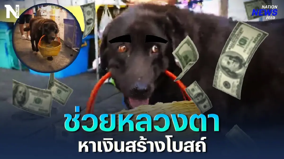 "กล้วยปิ้ง" ช่วยหลวงตา หาเงินสร้างโบสถ์ "กล้วยปิ้ง" ช่วยหลวงตา หาเงินสร้างโบสถ์