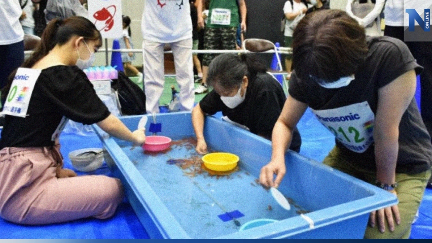 แข่งตักปลาทองเล็กญี่ปุ่น แชมป์ตักกว่า 100 ตัว ใน 3 นาที