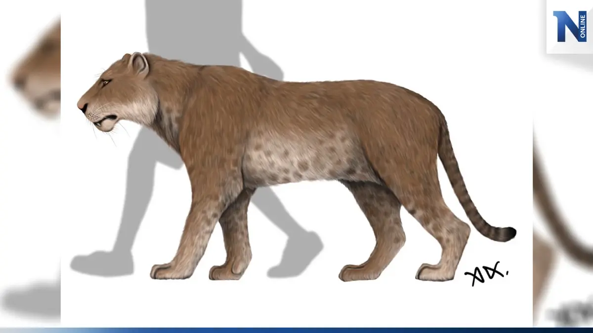 พบฟอสซิลเสือชนิดใหม่ที่โคราช อายุ 6-9 ล้านปี จัดเป็นสปีชีส์ใหม่ของโลก