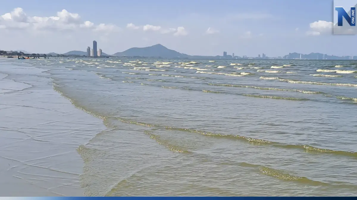 คพ.ชี้ หาดบางแสนสู่ภาวะปกติ แนะเฝ้าระวัง "น้ำทะเล" ไม่นำเข้าสู่ร่างกาย
