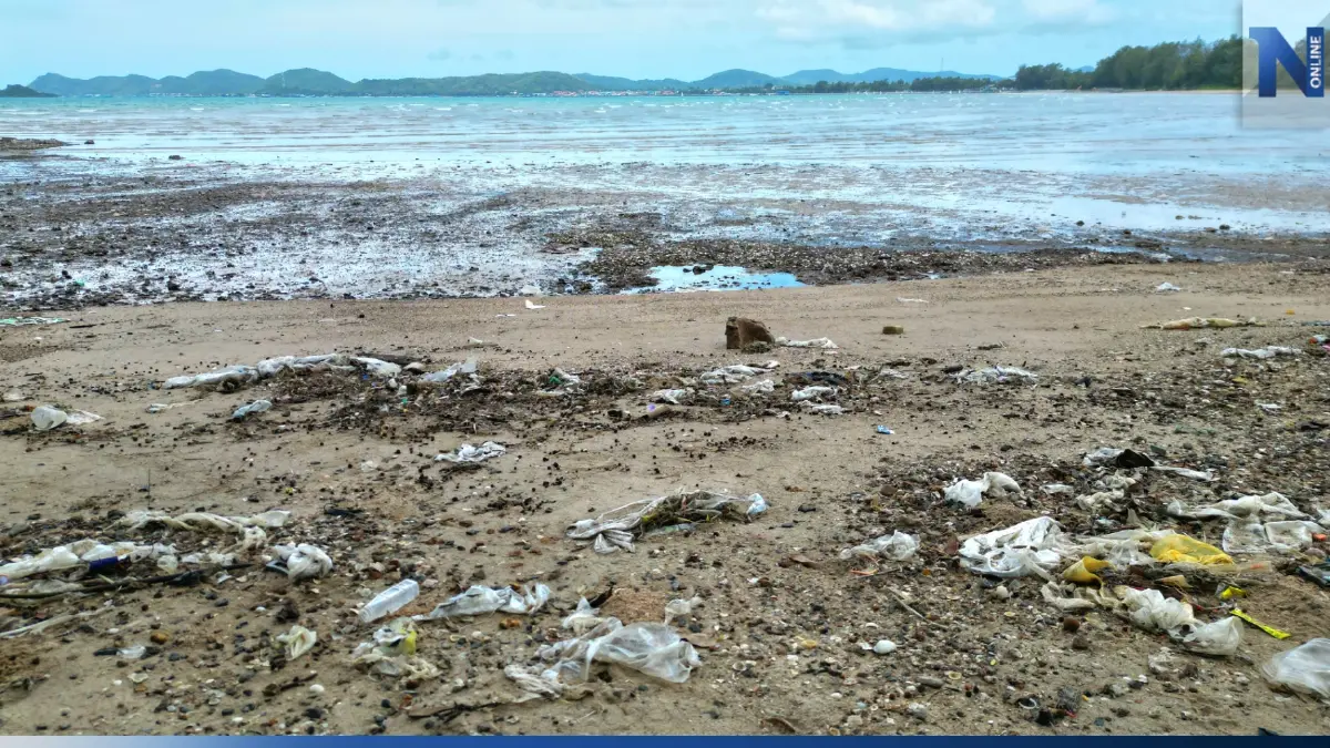 ผงะ! คลื่นลมแรง ซัด "ขยะพลาสติก" นับแสนชิ้น ทำลายความสวยงาม "หาดดงตาล" ผงะ! คลื่นลมแรง ซัด "ขยะพลาสติก" นับแสนชิ้น ทำลายความสวยงาม "หาดดงตาล"