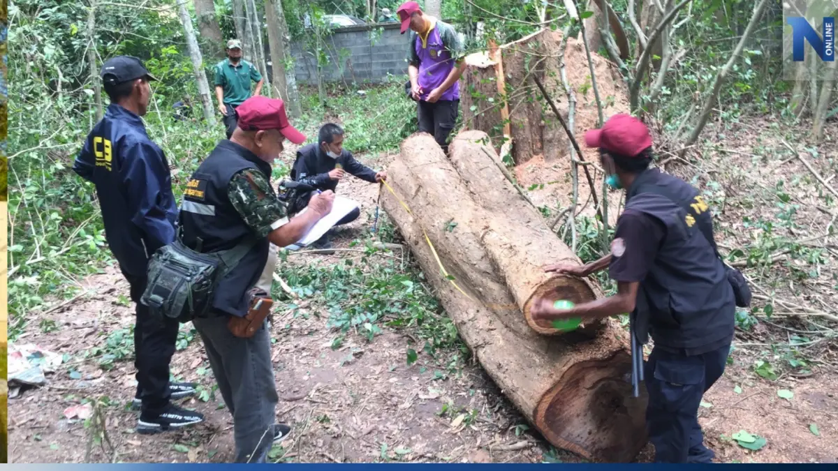 ตร.ชงสำนวน "ไม้พะยูง" หายส่ง ป.ป.ช. เชือด 6 ข้าราชการชั่ว เอี่ยวแก๊งมอดไม้ ตร.ชงสำนวน "ไม้พะยูง" หายส่ง ป.ป.ช. เชือด 6 ข้าราชการชั่ว เอี่ยวแก๊งมอดไม้