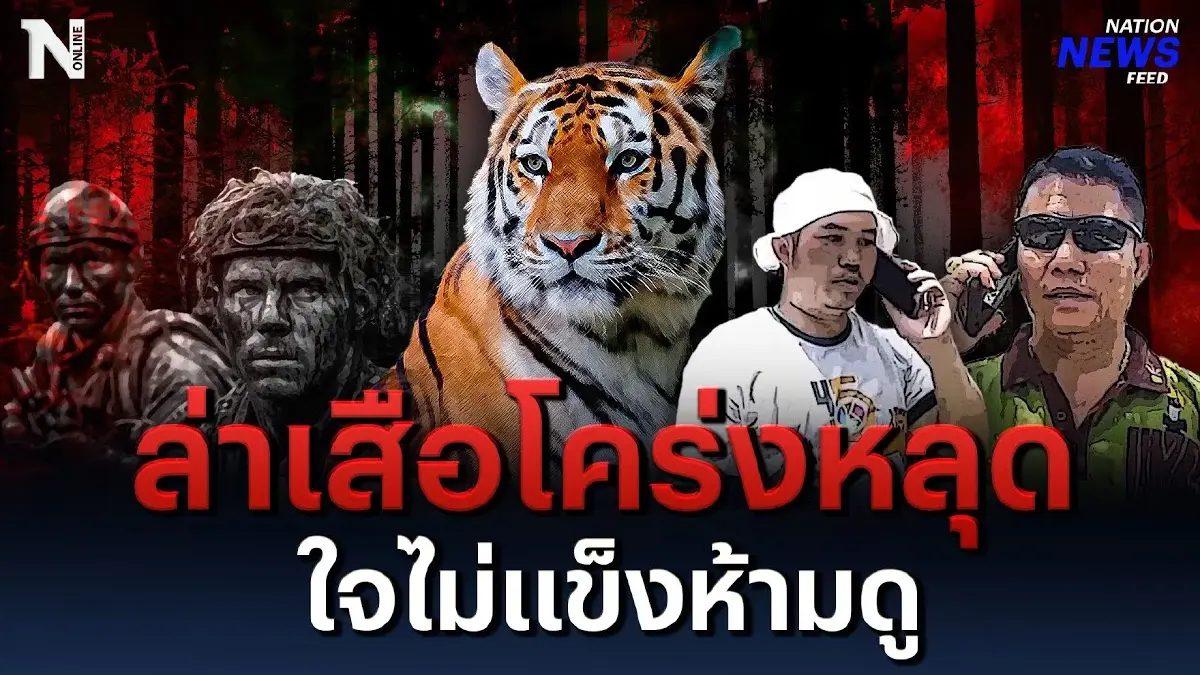 เปิดปฏิบัติการจับเสือโคร่งหลุด ใจไม่แข็งห้ามดู