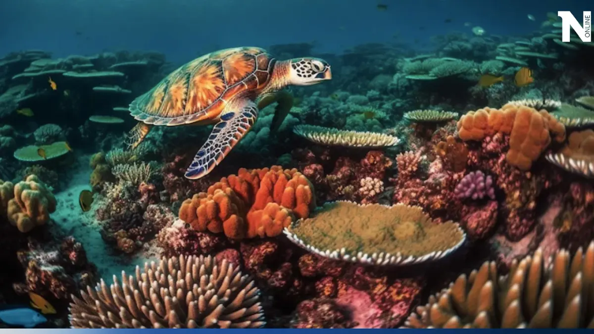 ความพยายามของออสเตรเลีย ทำให้ Great Barrier Reef รอดพ้นภัยคุกคาม ความพยายามของออสเตรเลีย ทำให้ Great Barrier Reef รอดพ้นภัยคุกคาม
