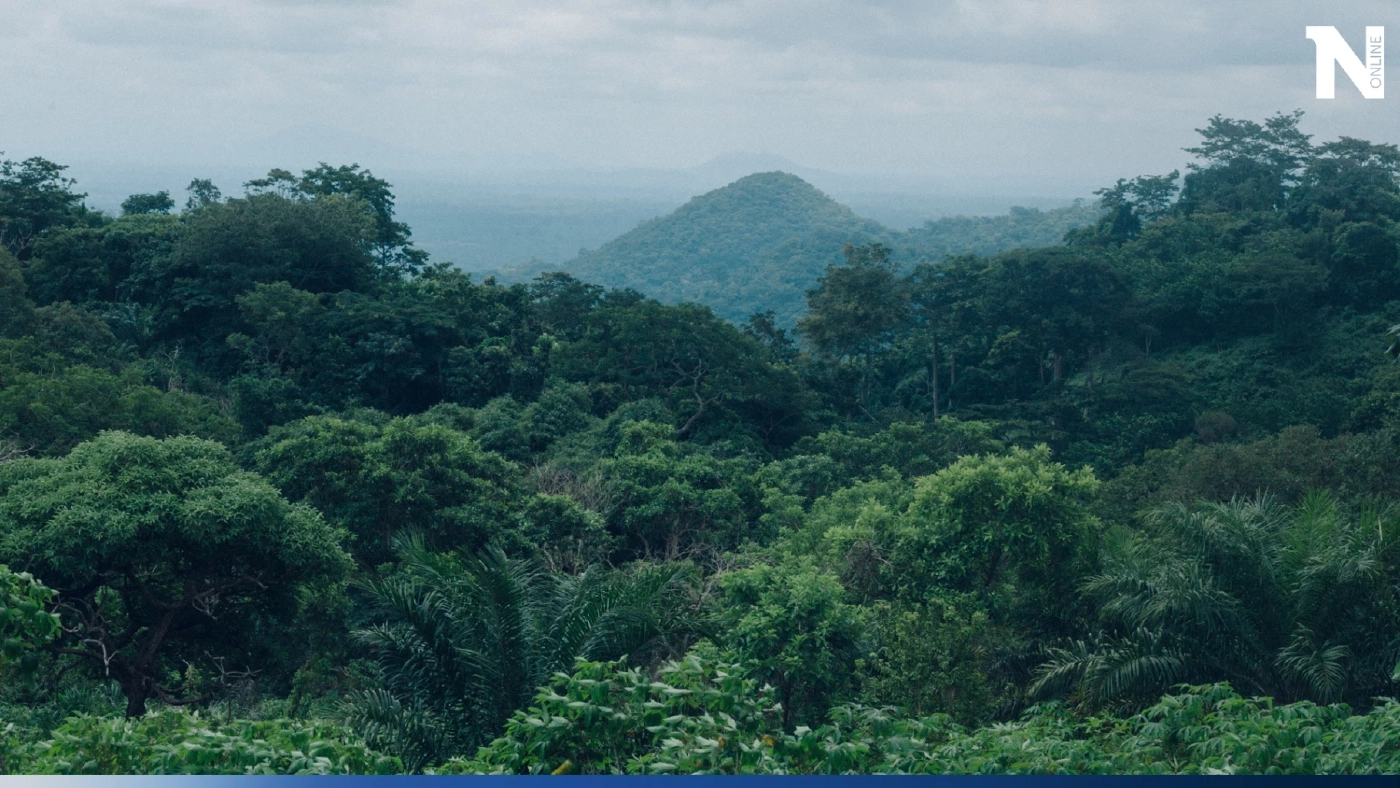 ดงพญาเย็น-เขาใหญ่ ป่ามรดกโลกน่าห่วง อาจเสื่อมสภาพเพราะ Climate Change