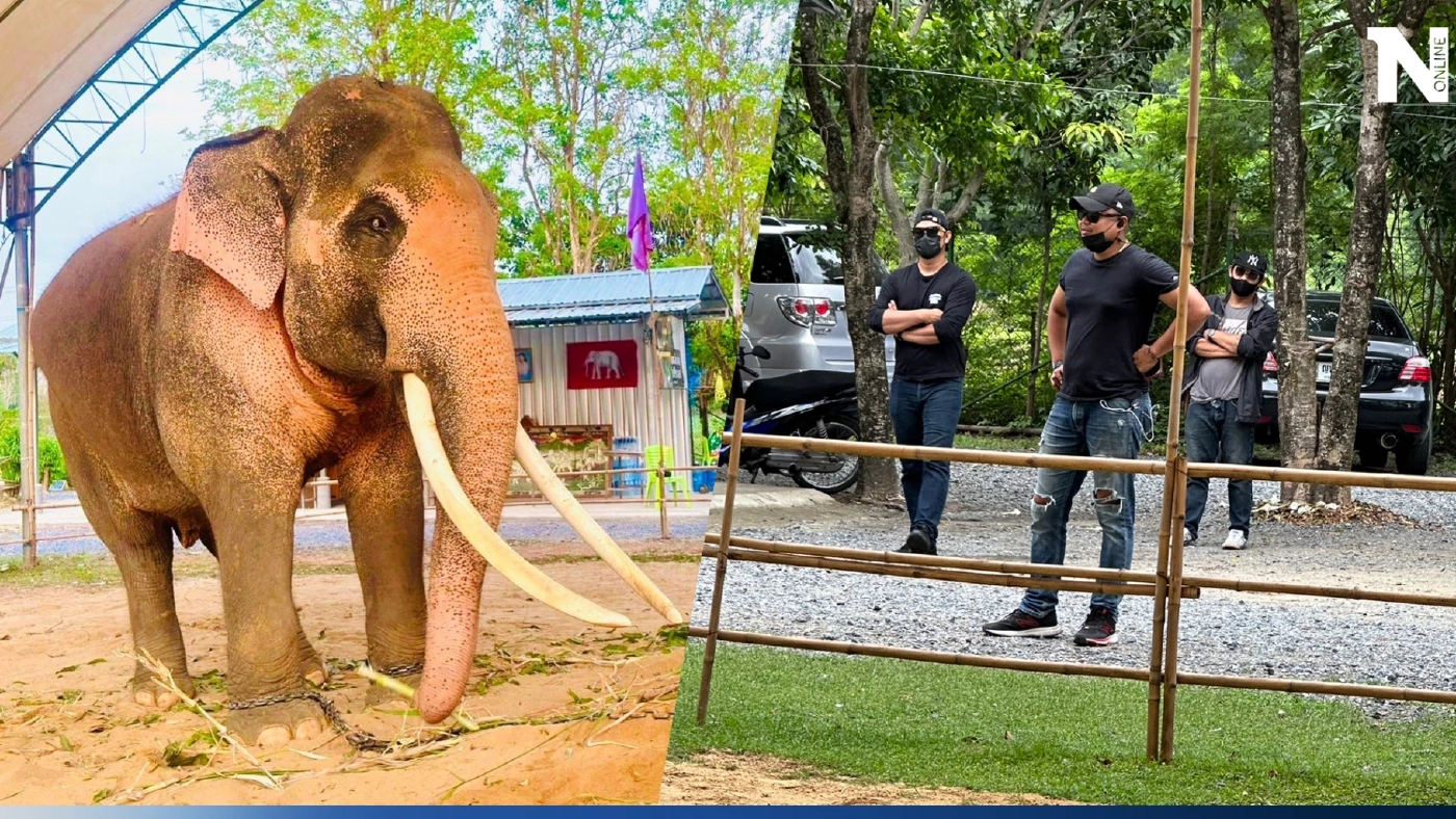 ชายชุดดำเข้าชม"พลายเอกชัย"มีพิรุธ เผยกำลังพิสูจน์คชลักษณ์ น้อมเกล้าถวายในหลวง