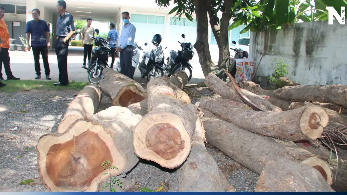 ผู้ว่ากาฬสินธุ์เต้น สั่ง ปปช.-ปปท.-สตง. เอาผิด ผอ.และข้าราชการ ขายไม้พะยูง
