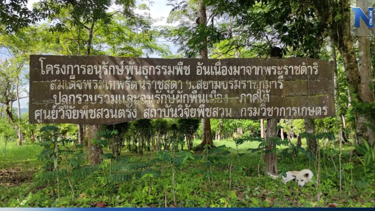 “กรมวิชาการเกษตร” สืบสานปณิธาน อนุรักษ์พันธุ์พืชหายาก-ใกล้สูญพันธุ์