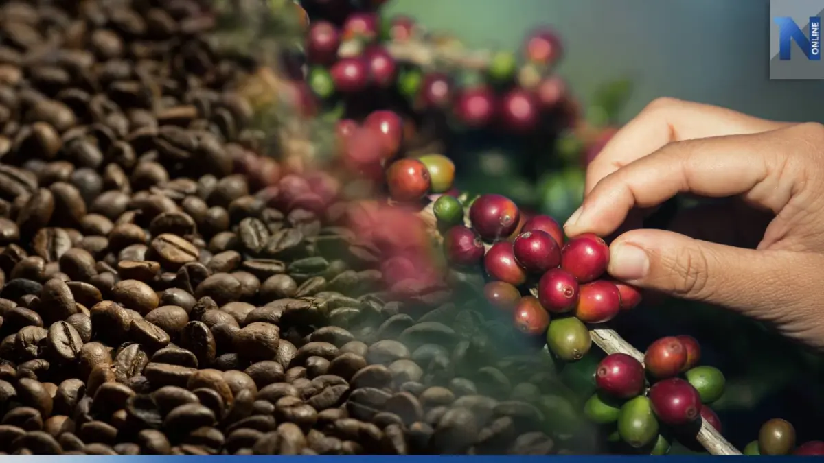 “ตลาดกาแฟ”  รุ่ง 7เดือนส่งออกโต 7.7%  สนค.แนะทำกาแฟพิเศษเพิ่มมูลค่า