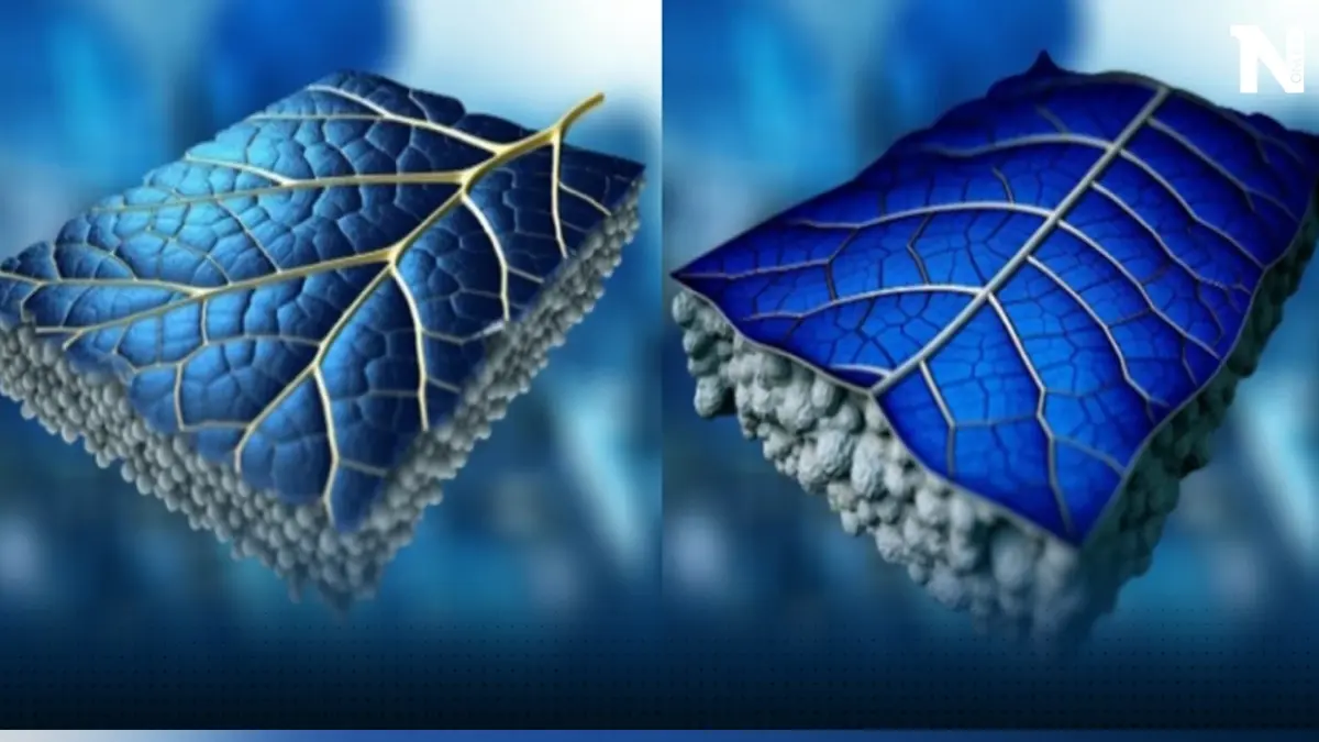อังกฤษคิดค้น ‘Solar leafs’ แผ่นโซลาร์เซลล์ทรงใบไม้ ประสิทธิภาพสูงในการผลิตไฟฟ้า อังกฤษคิดค้น ‘Solar leafs’ แผ่นโซลาร์เซลล์ทรงใบไม้ ประสิทธิภาพสูงในการผลิตไฟฟ้า