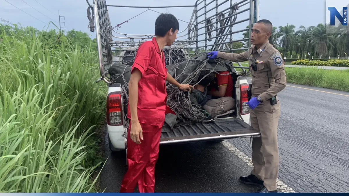 รวบหนุ่มหาดใหญ่ ขนแรงงานต่างด้าวช่วงวันหยุดยาว ได้ค่าจ้าง 3 หมื่น