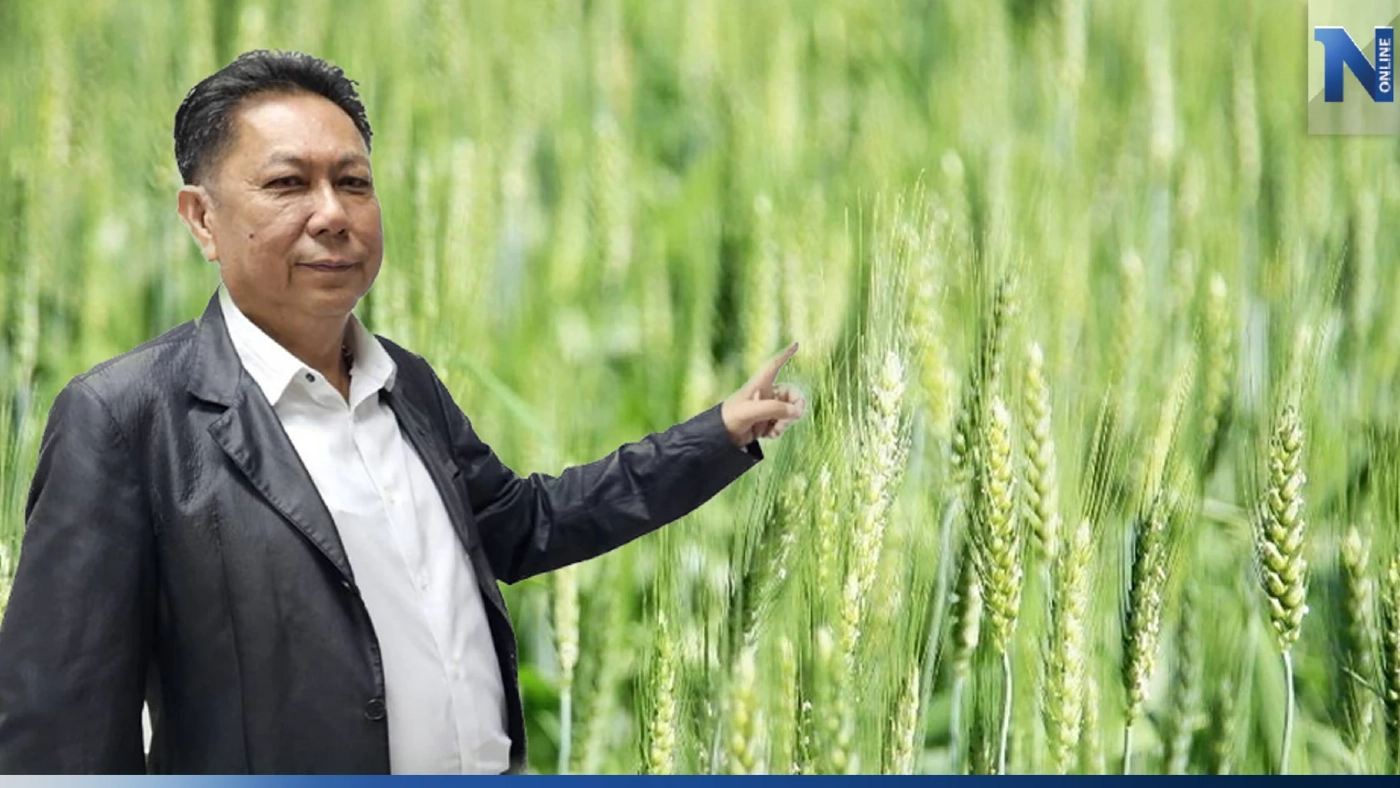 ปธ.ยุทธศาสตร์การเกษตรเพื่อไทย เดินหน้าผลักดันส่งเสริมปลูกข้าวสาลี