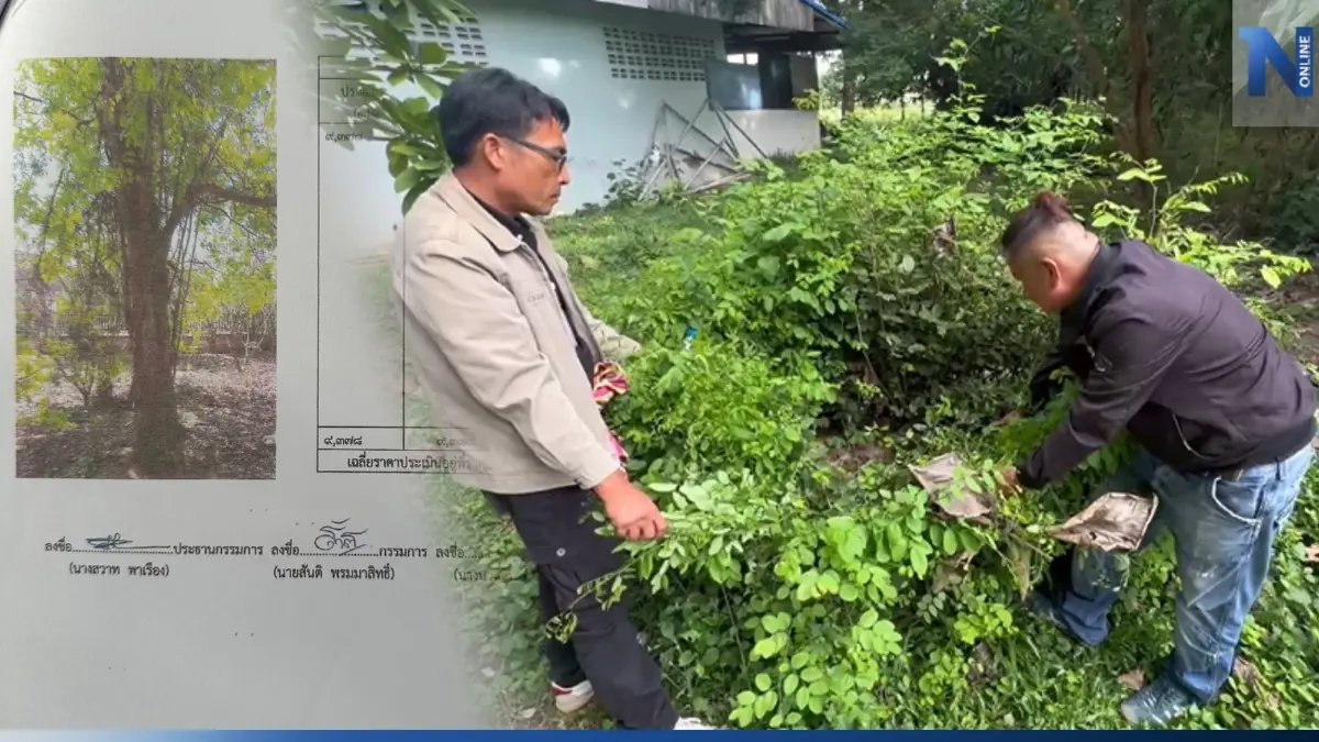 โผล่อีก! "แก๊งมอดไม้" ประมูลตัดต้นพะยูง ใน รร. จุดที่ 5 พบ "ยิ่งแฉยิ่งฉาวโฉ่"