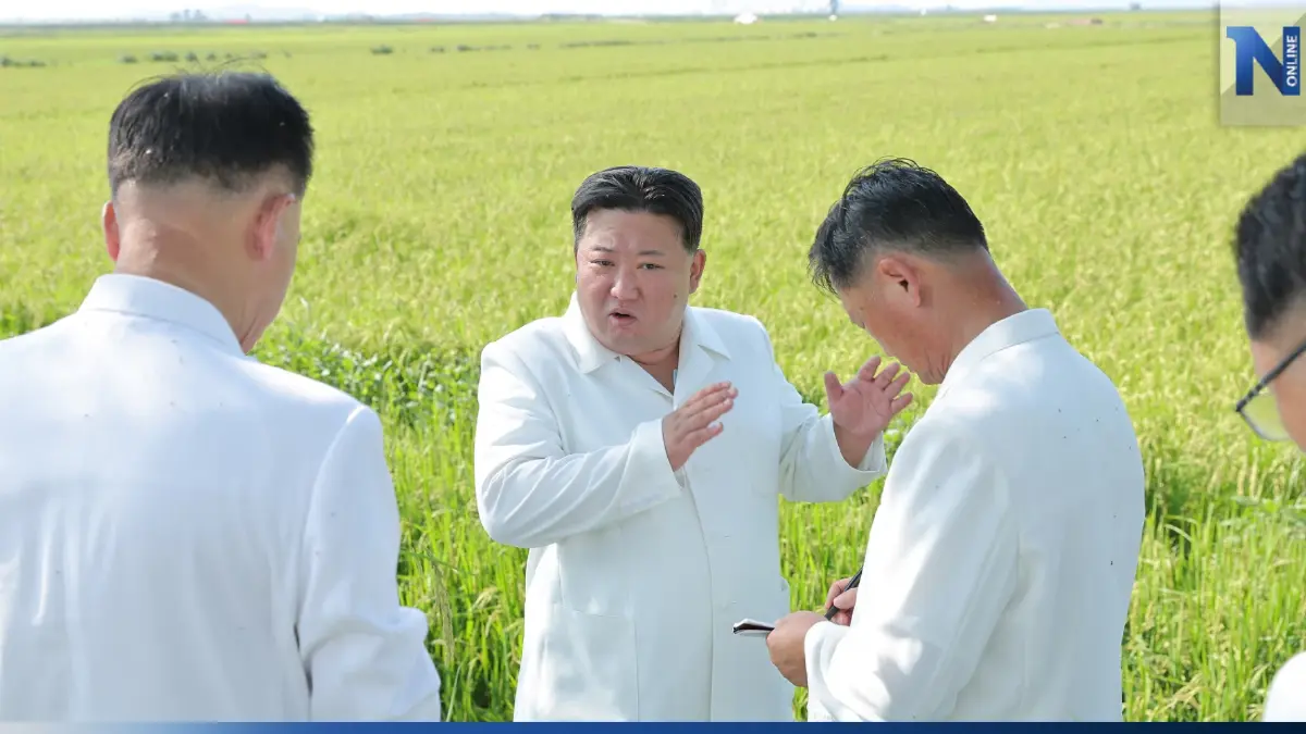 คิม จอง อึน ลงพื้นที่คุมงานฟื้นฟูนาข้าว หลังเสียหายหนักจากพายุ คิม จอง อึน ลงพื้นที่คุมงานฟื้นฟูนาข้าว หลังเสียหายหนักจากพายุ