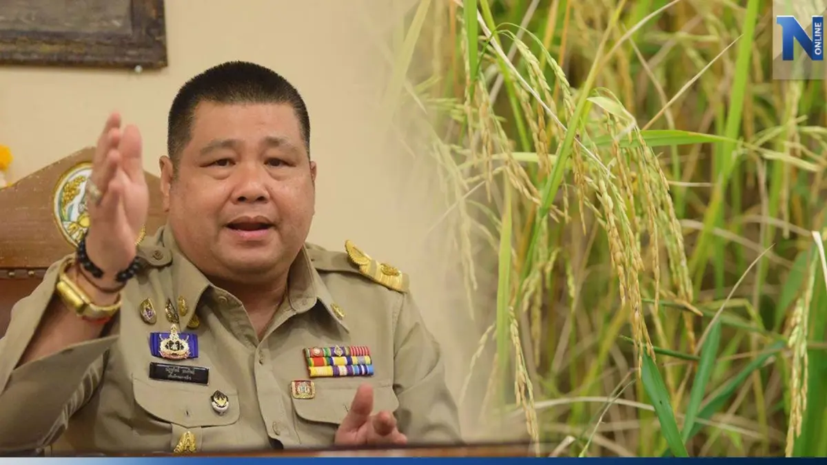 กรมการข้าว ย้ำเกษตกรให้เปลี่ยนมาใช้เมล็ดพันธุ์ดี กรมการข้าว ย้ำเกษตกรให้เปลี่ยนมาใช้เมล็ดพันธุ์ดี