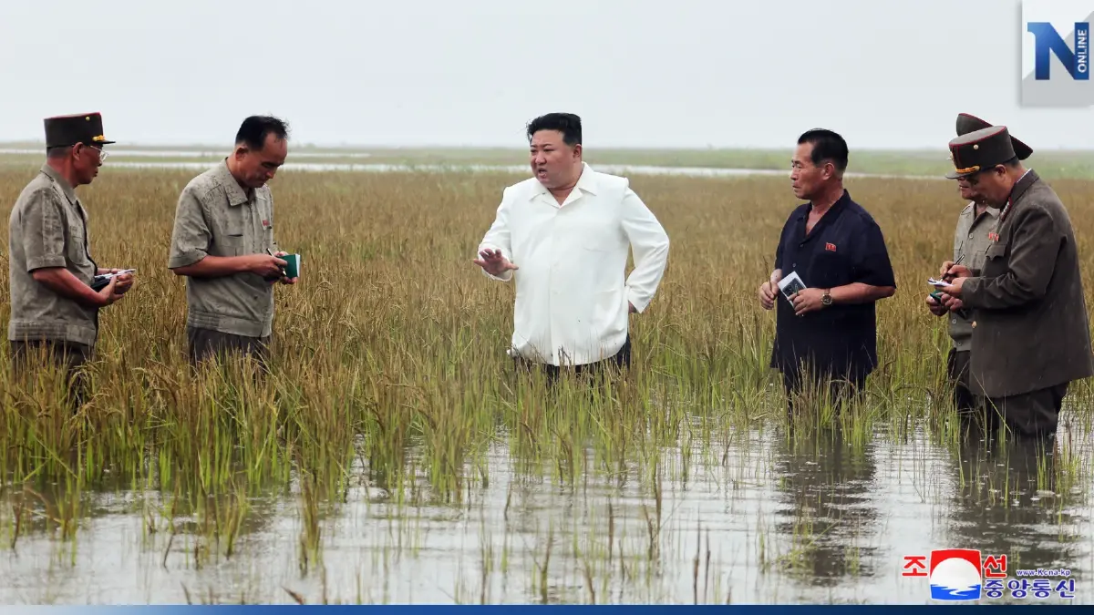 "คิม จองอึน" ตำหนิแรงนายกฯ "ด้อยปัญญา"