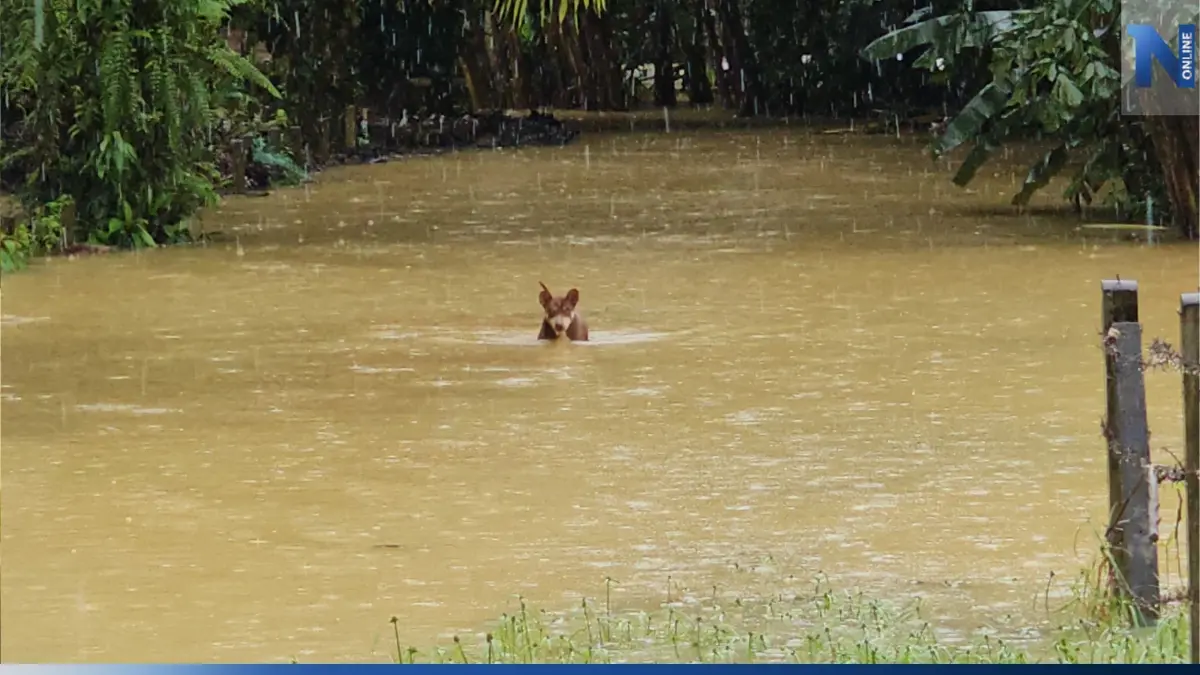 ชาวตะกั่วป่าดีใจเก้อ น้ำทะลักท่วมซ้ำรอบที่ 5 ต้องใช้เรือสัญจรเข้าออก ชาวตะกั่วป่าดีใจเก้อ น้ำทะลักท่วมซ้ำรอบที่ 5 ต้องใช้เรือสัญจรเข้าออก