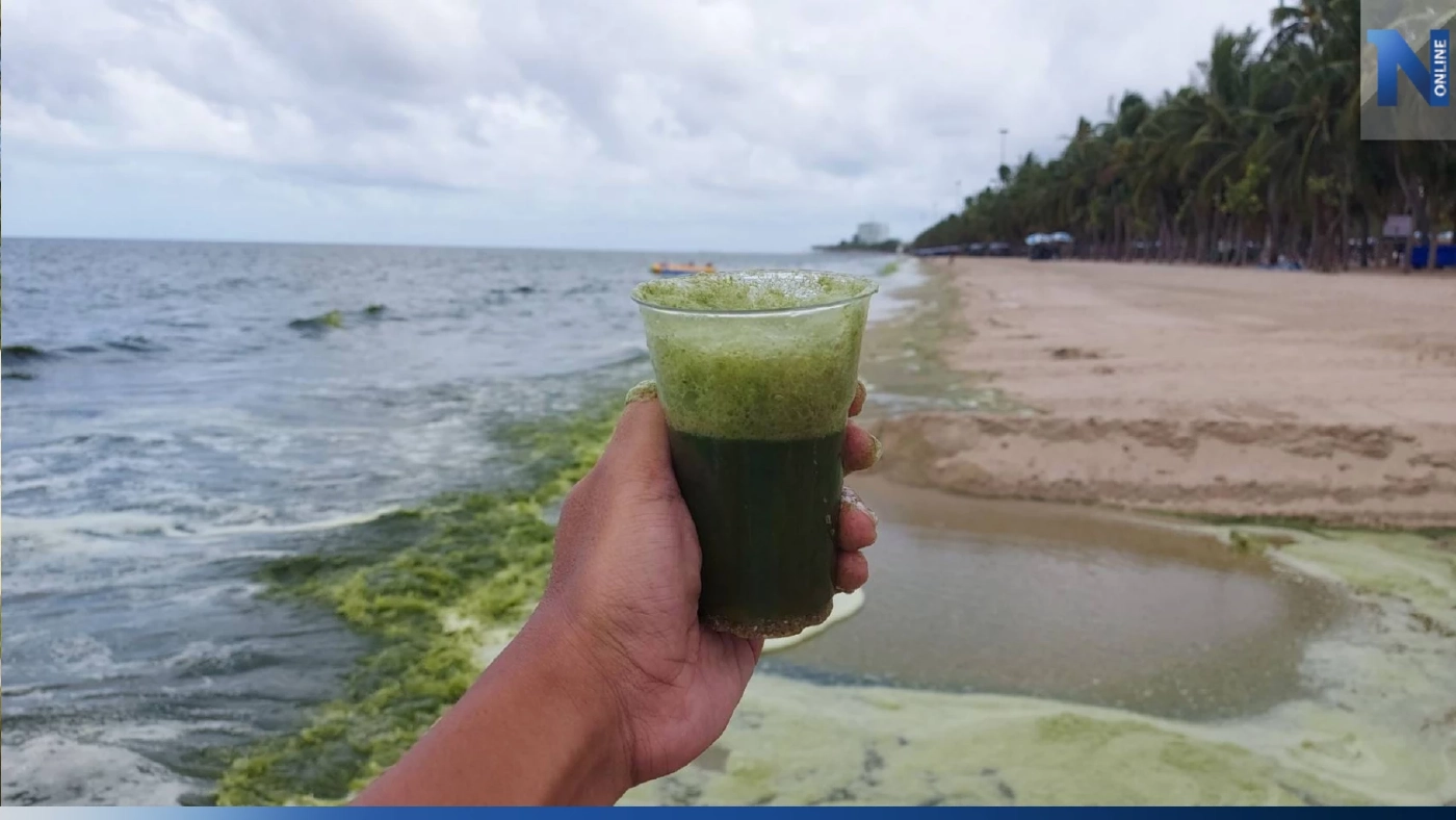 "ทะเลบางแสน" กลายเป็น "สีชาเขียวมัทฉะ" อีกแล้ว หลังฝนตกติดต่อกันหลายวัน