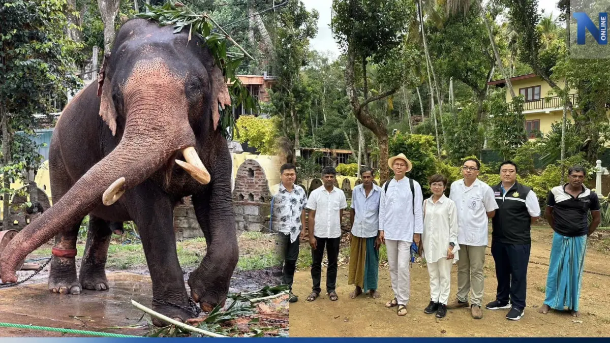 กรมอุทยานฯ ร่วมตรวจเยี่ยมและติดตามสวัสดิภาพ "พลายประตูผา" ช้างไทย ณ ศรีลังกา