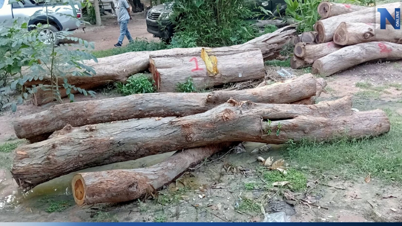 จี้ สตง. สอบรายรับธนารักษ์ หลังมี จนท. เอี่ยวประมูล "ไม้พะยูง" อย่างต่อเนื่อง