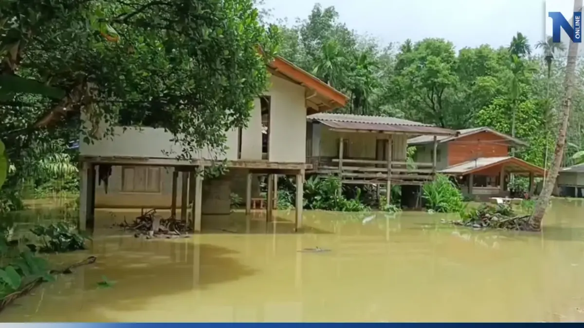 "ละงู" อ่วม! ฝนตกหนักส่งผล 2,500 ครัวเรือนจมบาดาล วอนเร่งช่วยเหลือ "ละงู" อ่วม! ฝนตกหนักส่งผล 2,500 ครัวเรือนจมบาดาล วอนเร่งช่วยเหลือ