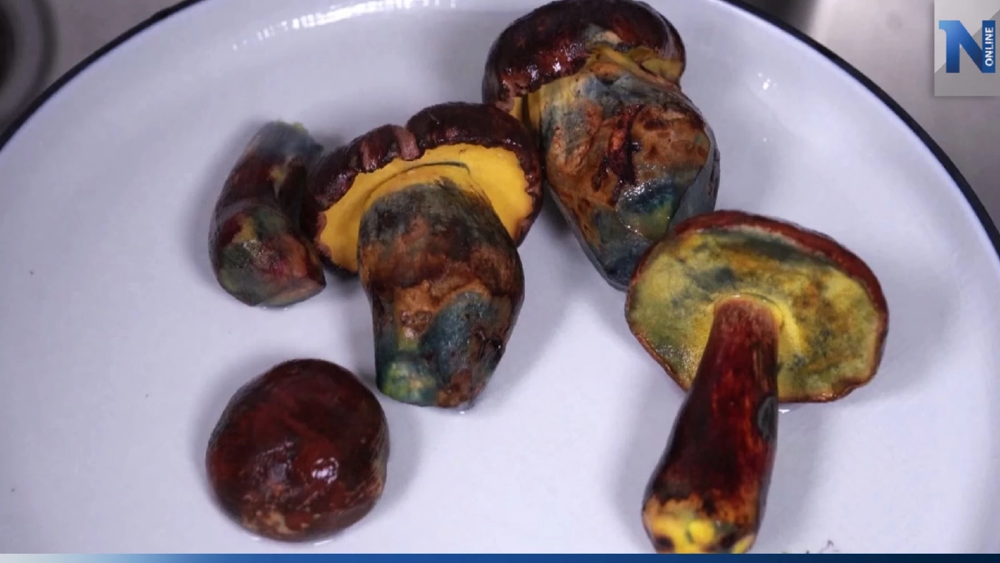 "เห็ดป่า" เมนูยอดฮิตของชาวจีน อุตสาหกรรมเห็ดแช่แข็งเติบโต (คลิปข่าว)