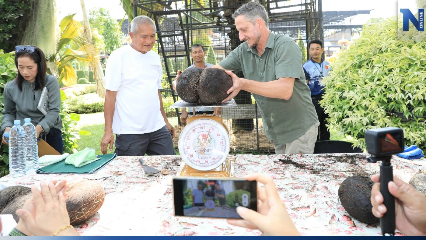 สวนนงนุช โชว์ "มะพร้าวก้นสาว" ลูกละแสน